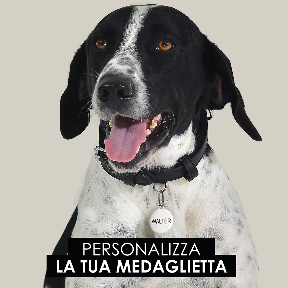 MEDAGLIETTA PERSONALIZZABILE CANE E GATTO CERCHIO - Image 16