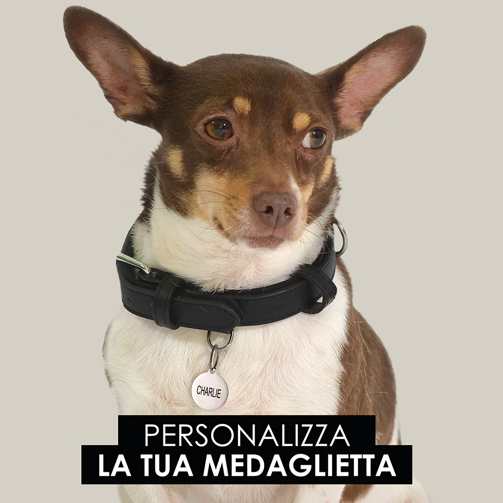 MEDAGLIETTA PERSONALIZZABILE CANE E GATTO CERCHIO - Image 4