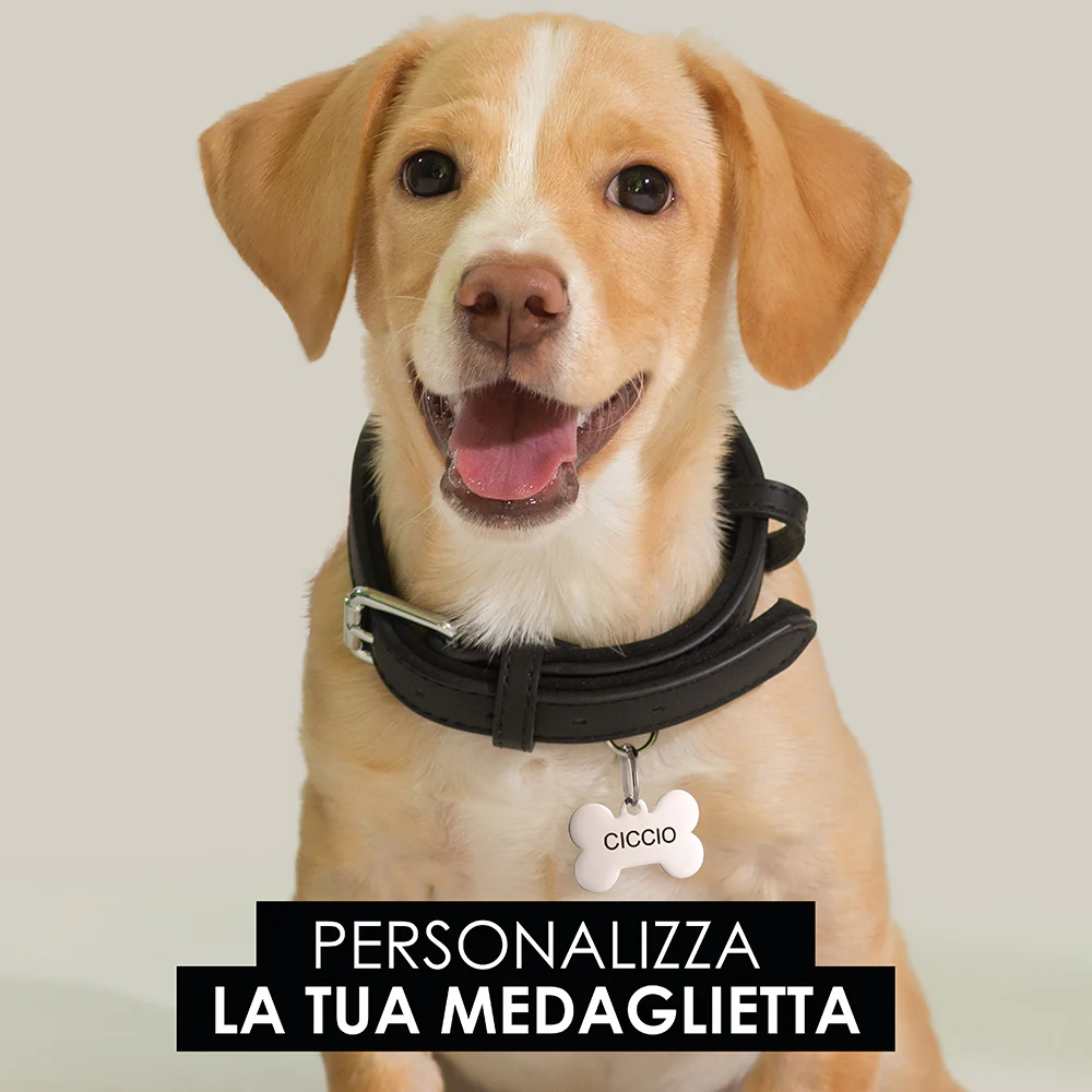 MEDAGLIETTA PERSONALIZZABILE CANE E GATTO OSSO - Image 4