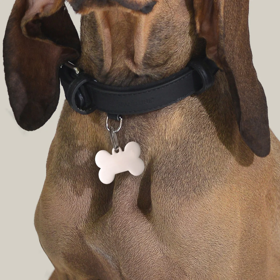 MEDAGLIETTA PERSONALIZZABILE CANE E GATTO OSSO - Image 8